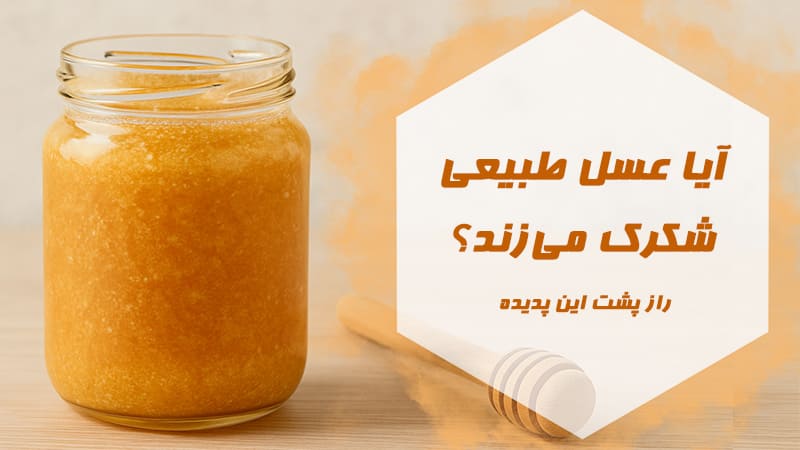 آیا عسل طبیعی شکرک می‌زند؟