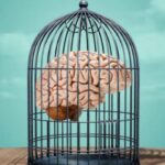 تصلب شناختی و انعطاف‌پذیری ذهن