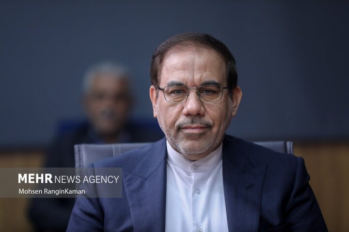 جهانگیر: برنامه‌های پیشگیری از جرم باید مبتنی بر آسیب شناسی باشد