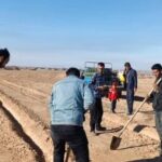 فرهادی: احیا و اصلاح مراتع در ۲ هزار هکتار از اراضی دهلران اجرا می شود