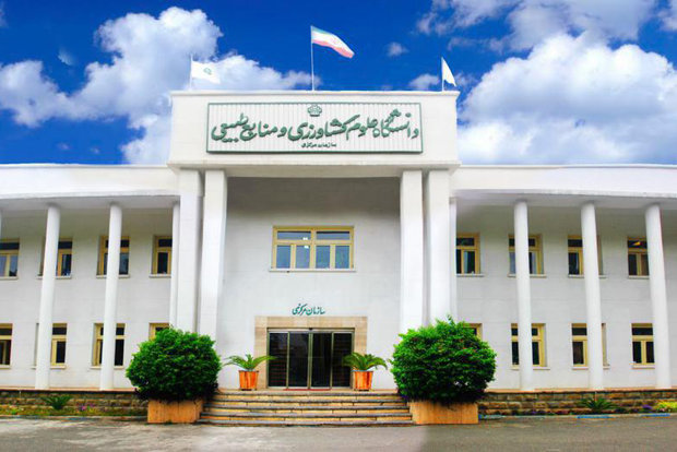 موفقیت بی‌سابقه دانشگاه گرگان؛ پیشتازی ایران در علوم تخصصی