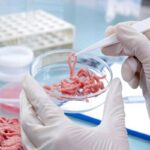 کشف و امحای مقادیر قابل توجه آلایش دامی تاریخ‌گذشته در سنقر و کلیایی