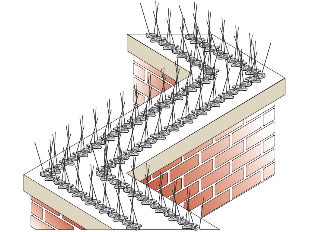 فراری دادن کبوتر و گنجشک از بالکن
