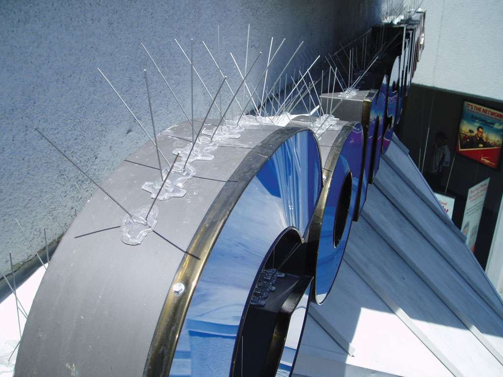 نصب شاخک پرنده پران