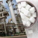 پاسخ سازمان غذا و دارو به فرایند تولید قند و شکر
