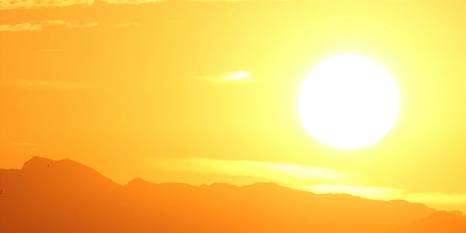 تاثیر نور خورشید و اشعه UV بر دوام محصولات چرمی