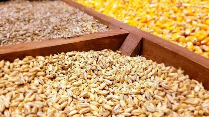 ادبیان: بیش از ۵۶ هزار تن نهاده کشاورزی در زنجان تأمین و توزیع شد