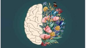 اصول اولیه درمان و مداخلات روان‌شناختی