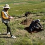 تپه تاریخی قالایچی بوکان تعیین حریم می شود