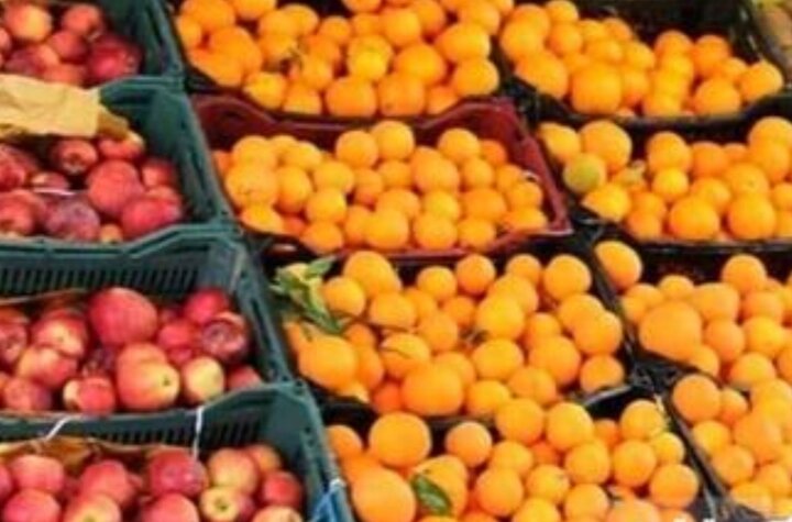 ذخیره ۴۰۰۰ تن مرکبات در میاندورود