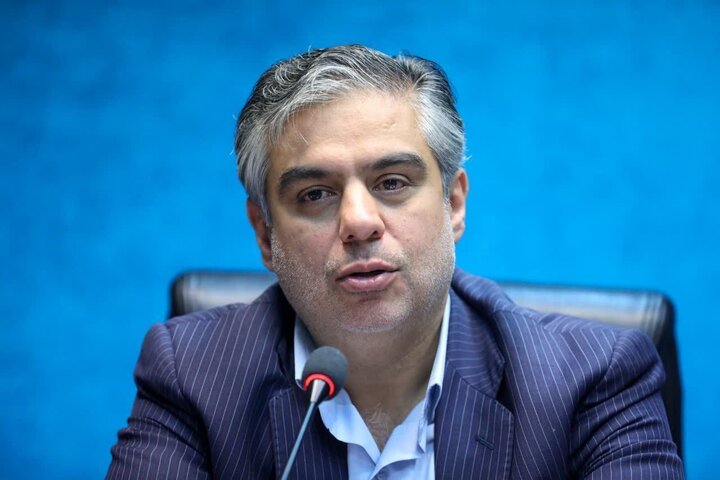 زندیه وکیلی: بازرسی‌ میدانی کارگاه‌ها برای صیانت از اشتغال ضروری است