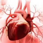 سلامت قلب افراد شب زنده دار در معرض خطر است