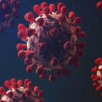 شناسایی دو ویروس حیوانی نوظهور به عنوان تهدیدات بالقوه سلامت جهانی