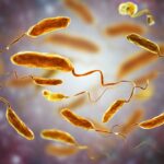 مرگ مشکوک مرد انگلیسی/ پای وبا در میان است؟