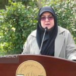 مهاجرانی: وقایع دانشگاهها، تورم و دهک‌های درآمدی در هیئت دولت بررسی شد