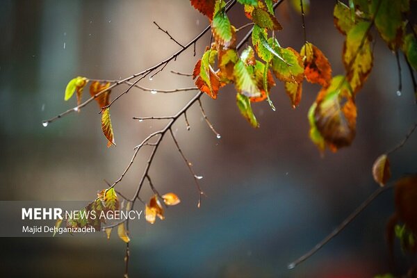 ورود سامانه بارشی به زنجان؛ هشدار زرد هواشناسی صادر شد