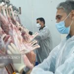 ۱۸ هزار و ۳۲۹ بازدید نظارتی توسط دامپزشکی استان زنجان انجام شده است