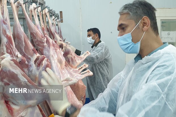 ۲۷ پروژه در حوزه دامپزشکی افتتاح می‌شود