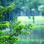 ترسالی نسبی در برخی استان‌های کشور / میانگین بارندگی در تهران کمتر از نرمال است