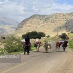 آغاز کوچ بهاره عشایر ایلام؛تمام راه های کوچ ییلاقی باز است