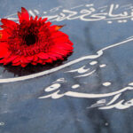 اولویت‌بندی خانواده‌های اهداکننده عضو در دریافت خدمات شهری