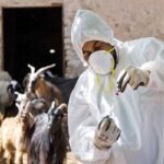 ایجاد مدیریت واحد برای صنعت واکسن کشور