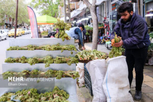 بهارِ سبز بیجار؛ روایت رویش دوباره طبیعت و بازگشت مردم به دامنه‌ها