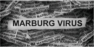 بیماری ماربورگ چیست؟ یک ویروس خطرناک با علائم جدی را بشناسید