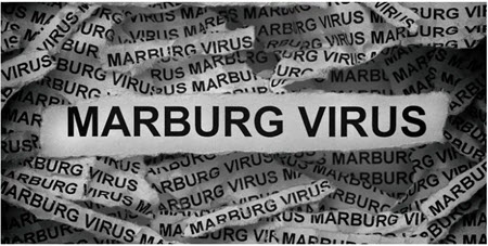 بیماری ماربورگ چیست؟ یک ویروس خطرناک با علائم جدی را بشناسید