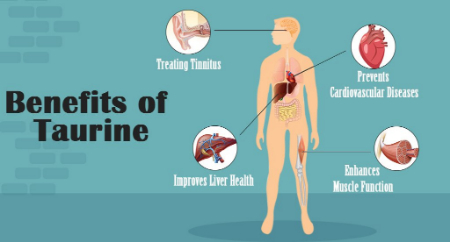 تائورین چیست, فواید تائورین