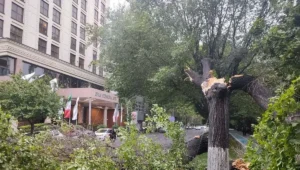 تازه‌ترین آمار از تعداد مصدومان طوفان امروز در تهران