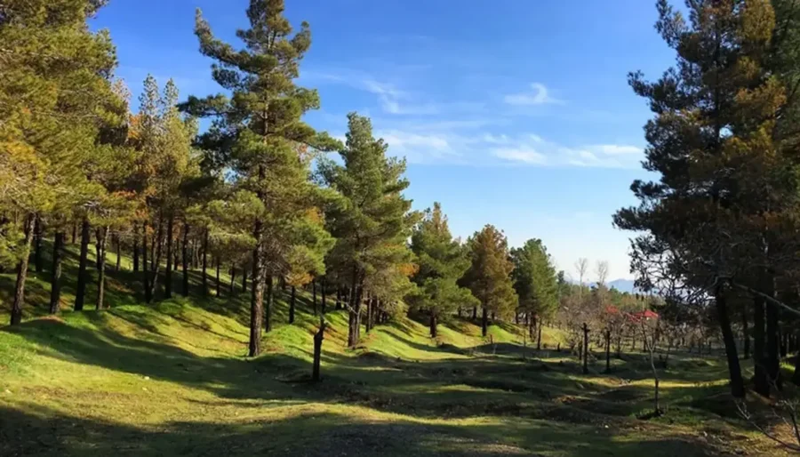 تعطیلی چهار بوستان جنگلی تهران در روز سیزده بدر/ اطلاعیه مهم شهرداری تهران