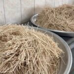 توزیع آش نذری توسط بسیجیان قوچانی