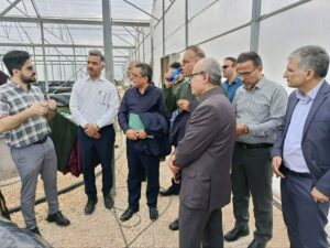 توسعه آبزی‌پروری نوین با محوریت تولید اسپیرولینا در استان بوشهر