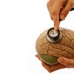 نشست مشترک جهت اجرایی‌سازی پویش ملی «رصد روان»