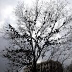 هشدار جدی هواشناسی صادر شد/ وزش باد شدید همراه با رگبار و رعد و برق در راه تهران