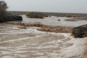 هماهنگی با ترکمنستان برای یافتن راننده تراکتور گرفتار سیل کلات
