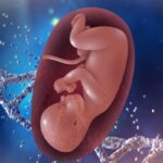 چشم‌انتظاری که با یک پیام تمام می‌شود