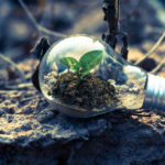 کنعانی: مازندران با ۴ چالش اساسی محیط زیستی روبرو است