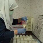 ۲۱۶ مادر داوطلب شیر اهدا کردند