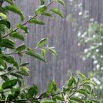 آسمان شمال و غرب تغییر کرد / هشدار بارش شدید در ۱۳ استان