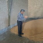 آمادگی ۱۱ مرکز برای خرید گندم در کهگیلویه وبویراحمد