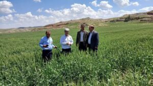 آموزش ۳۷۰۰ بهره بردار حوزه کشاورزی در شاهرود