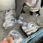 اجرای پویش «هر خانواده ایرانی، یک وعده ماهی» در لرستان