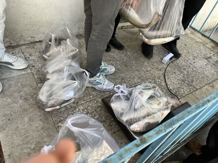اجرای پویش «هر خانواده ایرانی، یک وعده ماهی» در لرستان