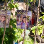 اجرای پویش کاشت نهال امید در ۱۷۸۲ مدرسه خوزستان به یاد شهدای میناب