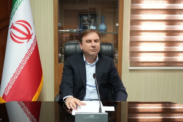استاندار بوشهر: همدلی شوراها و مدیران کلید عبور از چالش‌ها است
