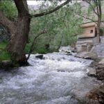 بیات منش: استان زنجان در مدیریت آب های سطحی وضعیت مطلوبی ندارد