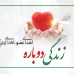 بیش از ۱۴۰۰ بیمار در شیراز با پیوند عضو به زندگی بازگشتند