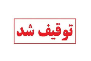 توقیف خودروهای کورس‌گذار با سرعت ۲۱۰ کیلومتر در هرمزگان